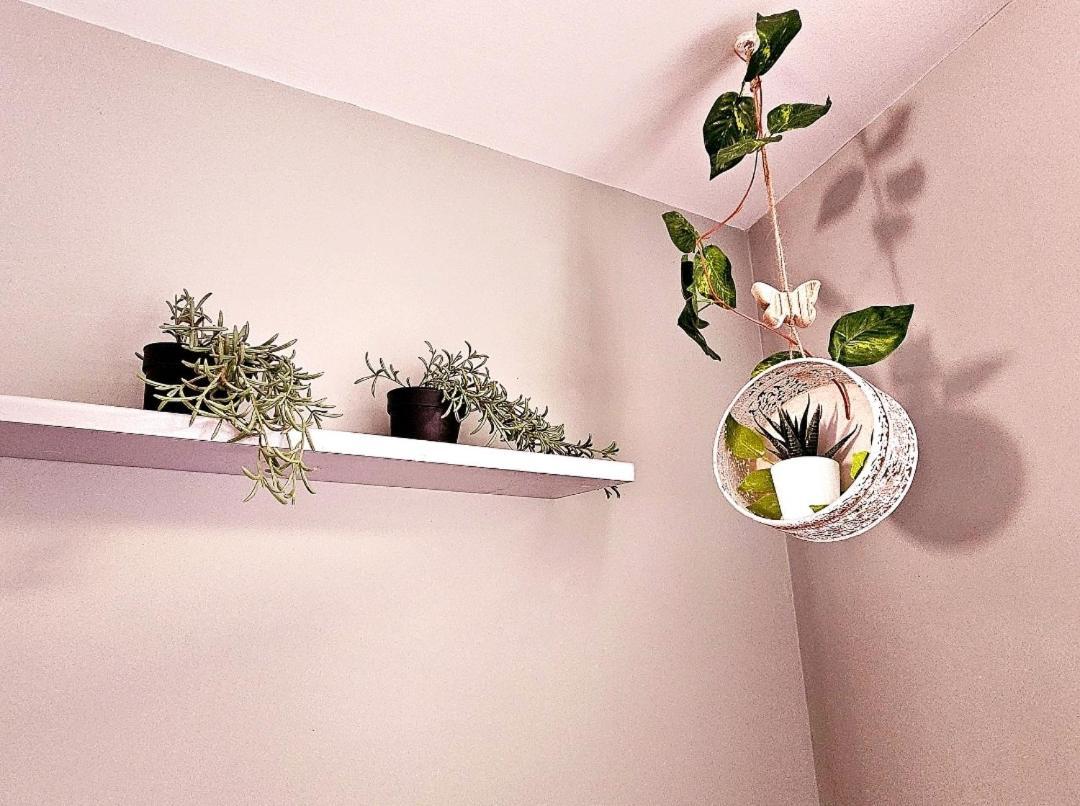 Apartamento Adriva Fuente Dorada-plaza Mayor, Wifi Atico *